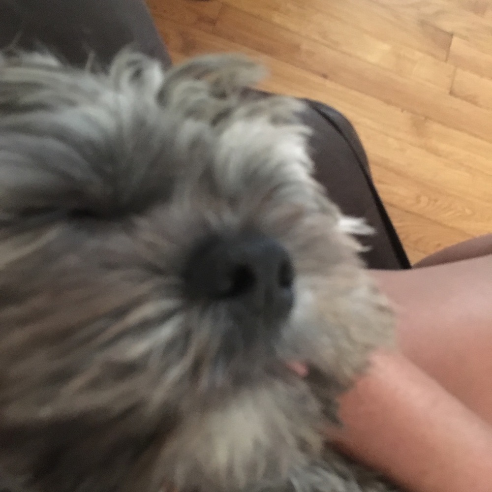 Meet your Posher, Danielle